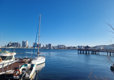 속초 청초호 유원지 산책 코스 총정리 (주차, 요트 체험, 야경 명소)