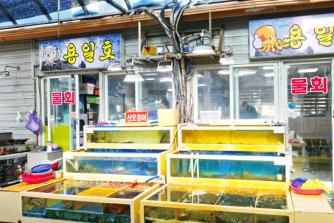 속초-횟집-용일호