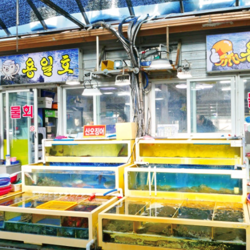 속초-횟집-용일호