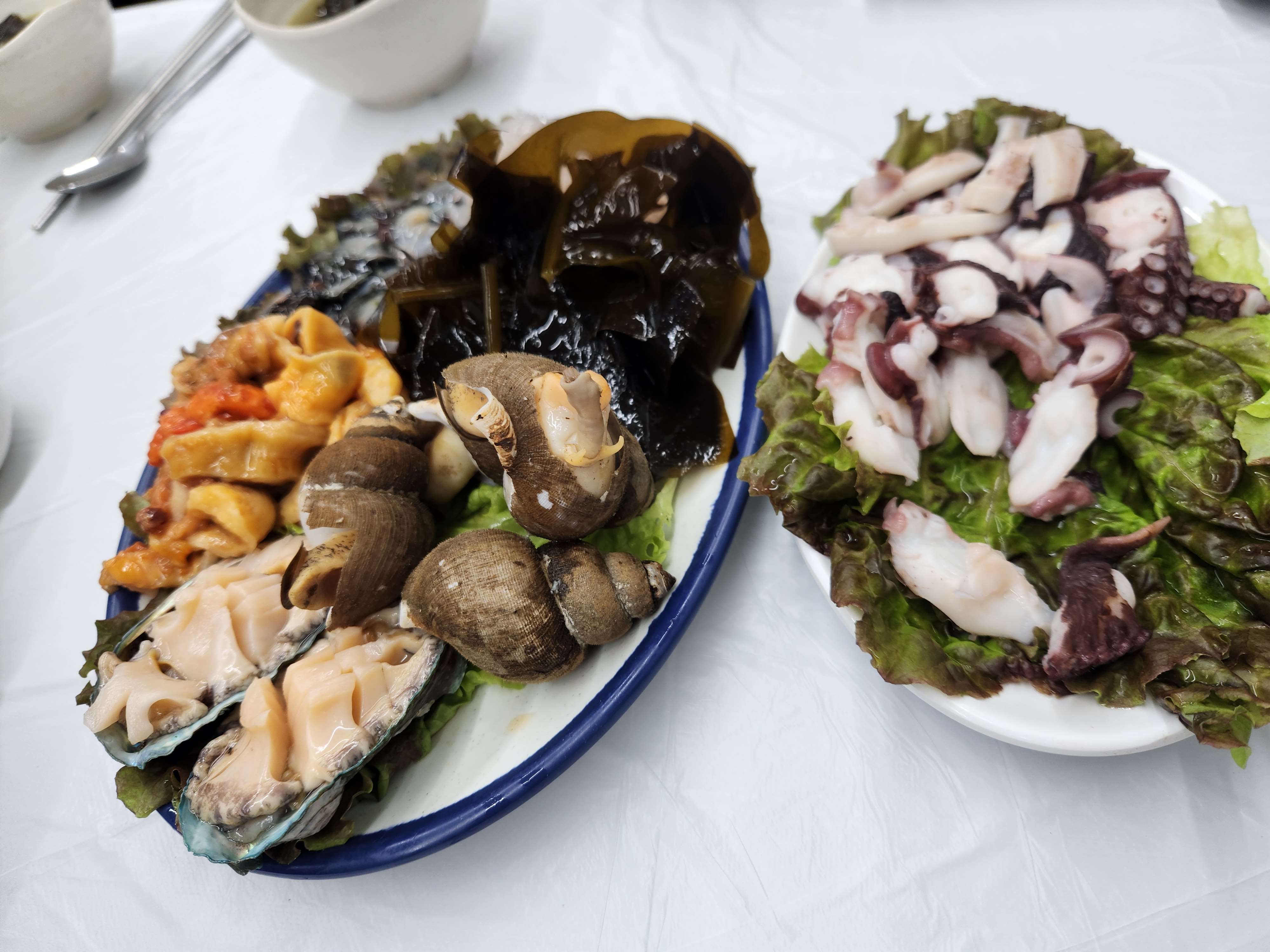 속초 외옹치 맛있는 회!