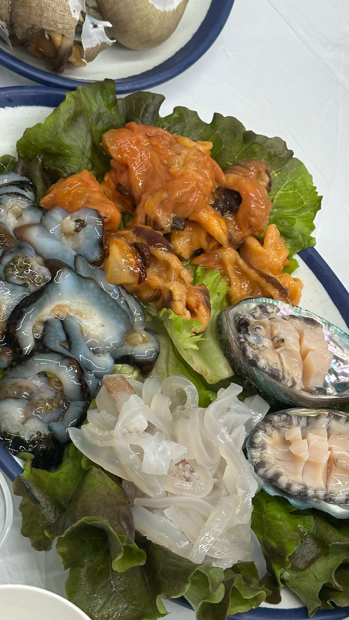 나만 알고싶은 외옹치 횟집 <행복한 횟집> 속초 횟집중 젤 맛있음! 👍🏻