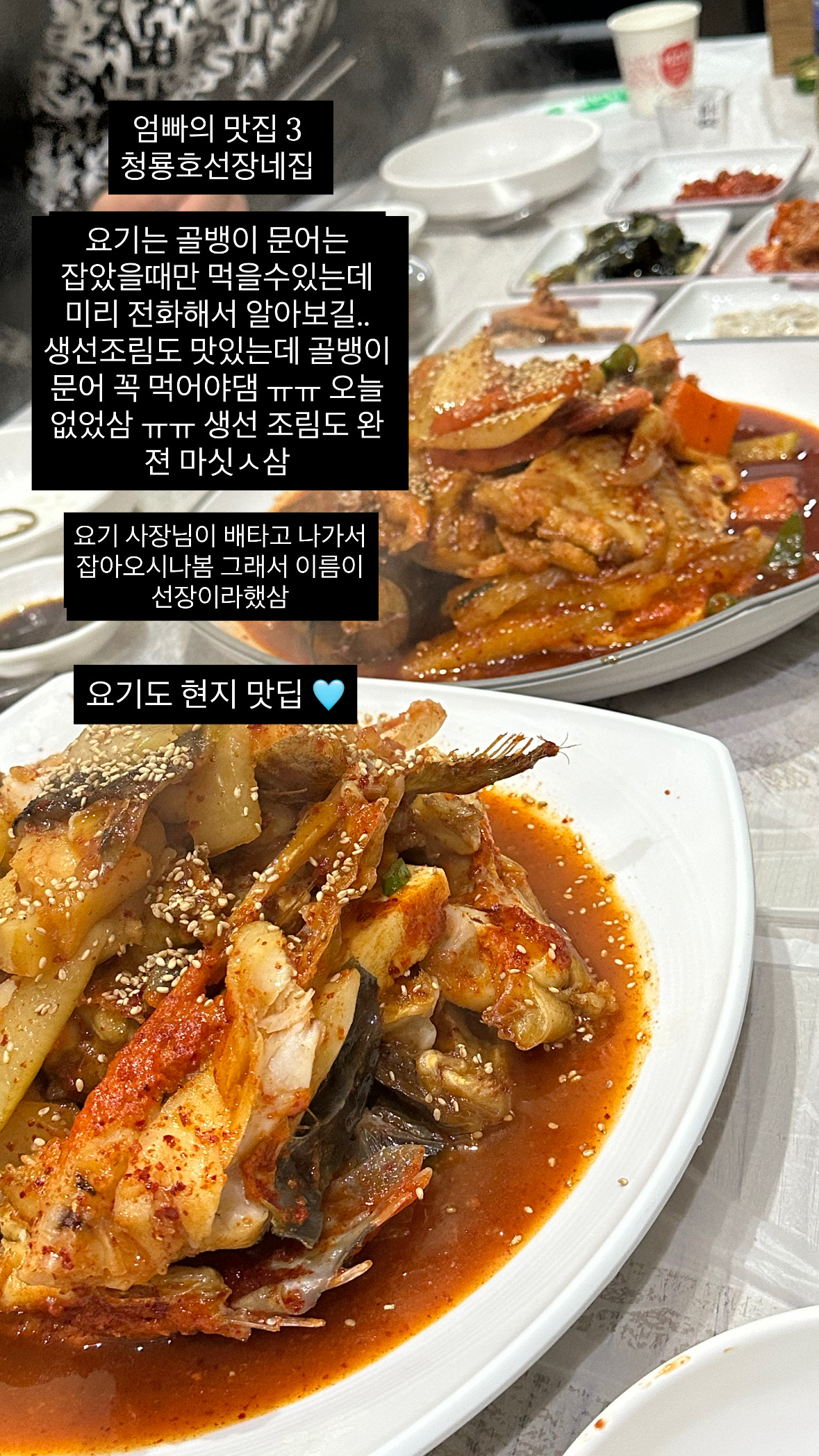 왕추천 222222<청룡호선장네집> 조림집에서 파는 골뱅이 ,문어가 별미!