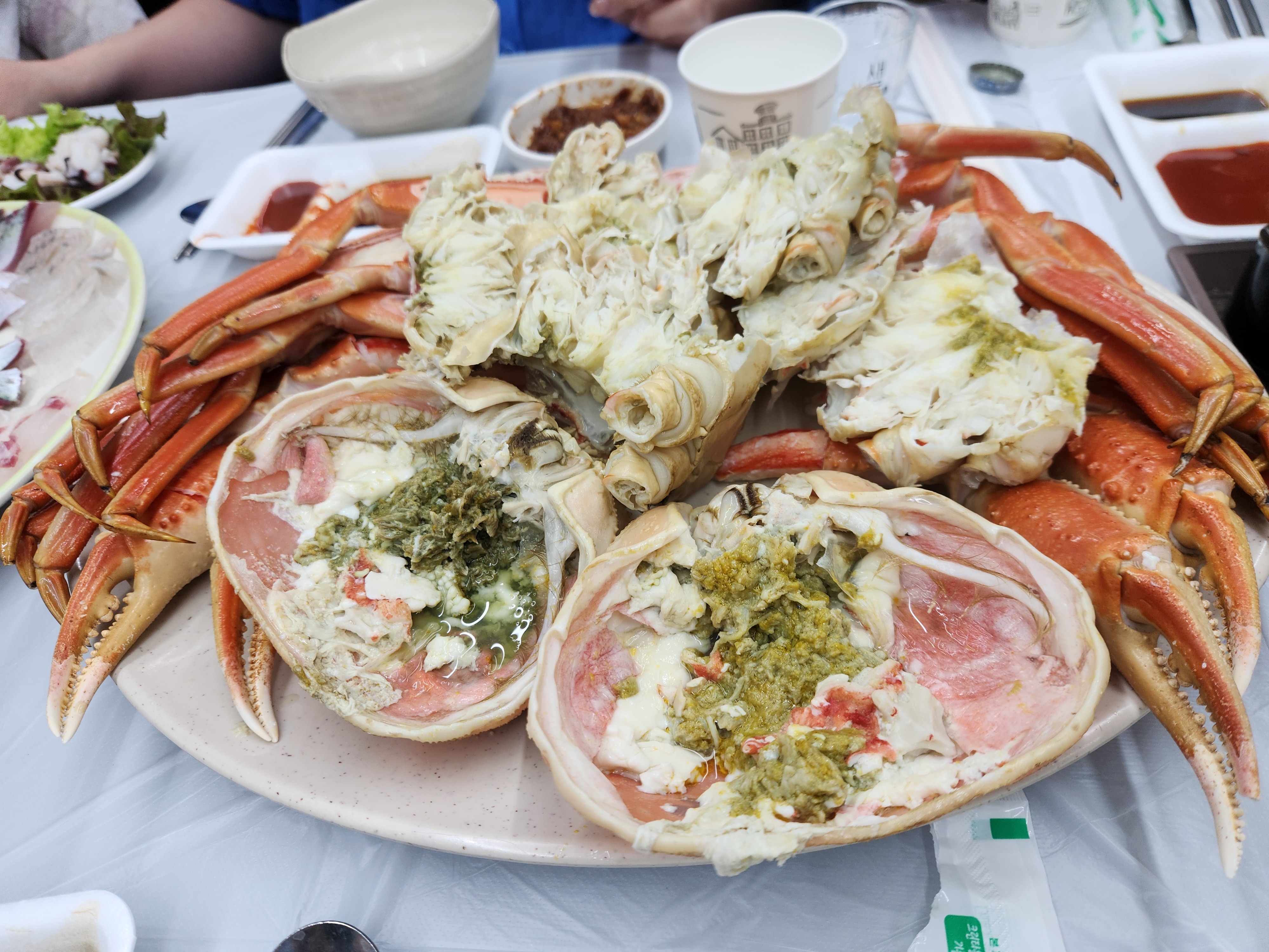 속초 외옹치 맛있는 회!